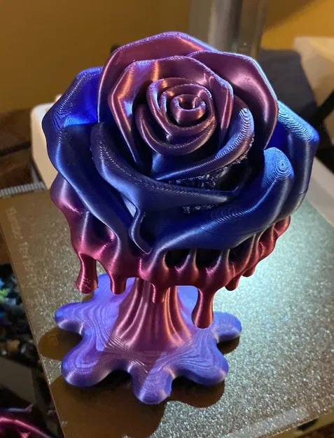 Bông Hồng Tan Chảy (Melting Rose) - Image 2