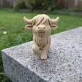Bò Highland Đi Bộ (Walking Highland Cow) - Thumbnail 2