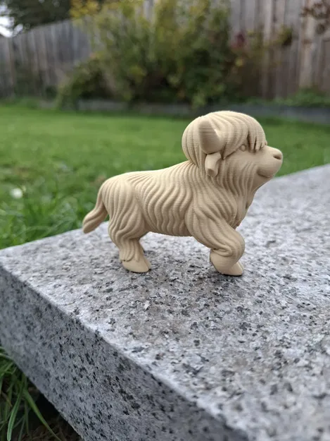 Bò Highland Đi Bộ (Walking Highland Cow) - Image 3