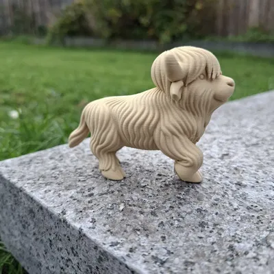 Bò Highland Đi Bộ (Walking Highland Cow)