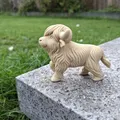 Bò Highland Đi Bộ (Walking Highland Cow) - Thumbnail 4