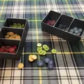 Insert Organizer cho Flamecraft (Flamecraft Organizer Insert) - Thumbnail 8
