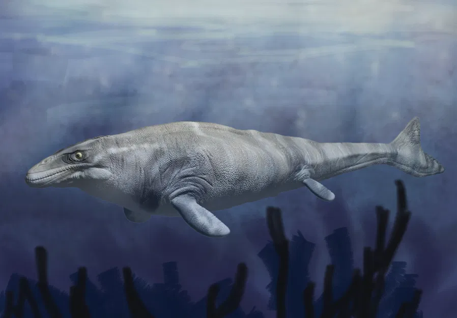 Tượng Mosasaurus (Mosasaurus Figurine) tỉ lệ 1:120 - Image 1