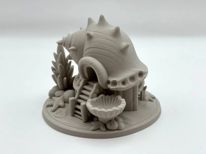 Deepshell Fairy House – Ngôi Nhà Tiên Vỏ Sò Ven Biển - Image 4