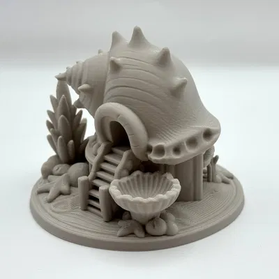 Deepshell Fairy House – Ngôi Nhà Tiên Vỏ Sò Ven Biển