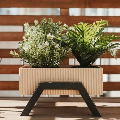 Chậu Cây Có Chân Đế (Legged Plant Pot)