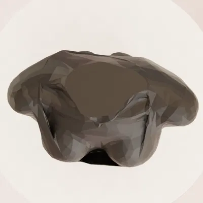 File STL Người Phụ Nữ Kéo Căng Áo – Model 3D In Được