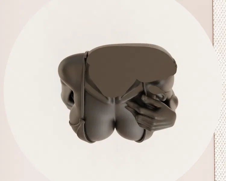 Tượng Nữ Mặc Nội Y Xuyên Thấu – Điêu Khắc Erotic Thanh Lịch - Image 4