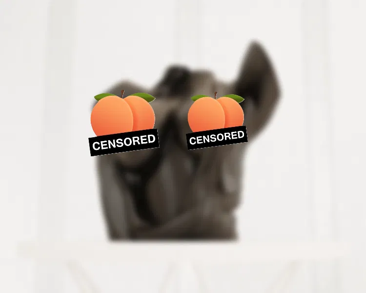 Pin-up Áo Mở — Dáng Ngồi với Áo Bandeau - Image 1