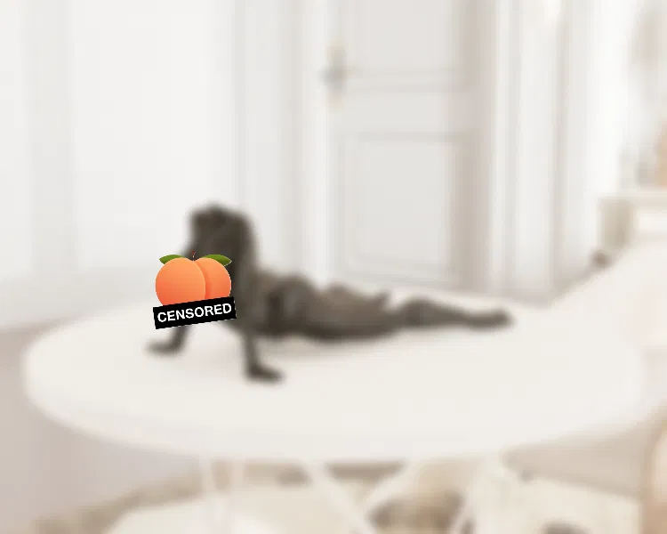 Nghiên cứu hình thể nữ – Tư thế duỗi người nằm sấp - Image 1