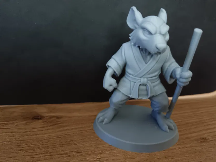 TMNT - Sprinter (Mistr Tříska) - Image 2