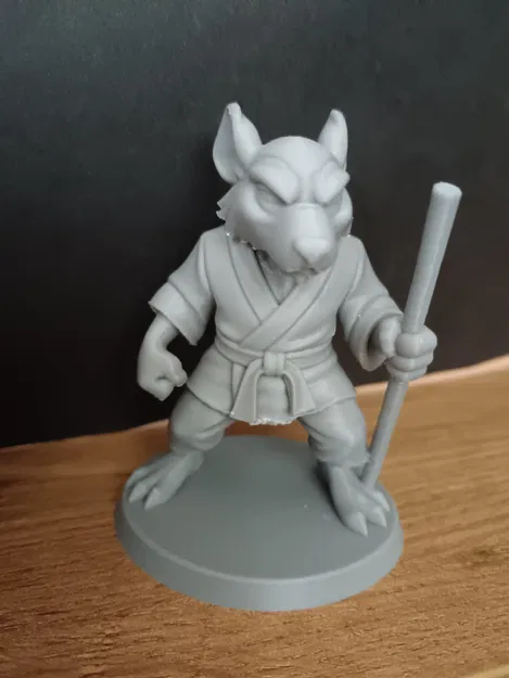 TMNT - Sprinter (Mistr Tříska) - Image 3