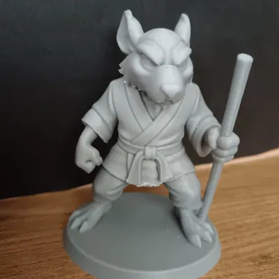 TMNT - Sprinter (Mistr Tříska)