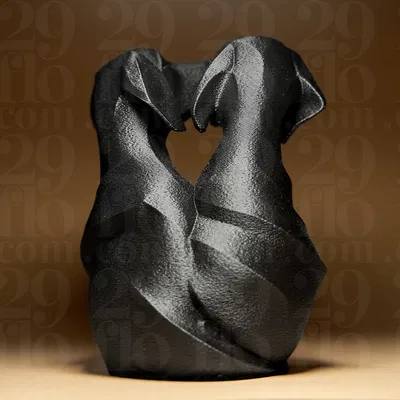 Hai Chú Labrador Đang Yêu (Two Labradors in Love)