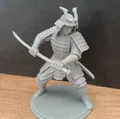 Samurai - Thumbnail 2