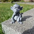 Cheeky Thinking Monkey – Khỉ Suy Tư Tinh Nghịch - Thumbnail 1