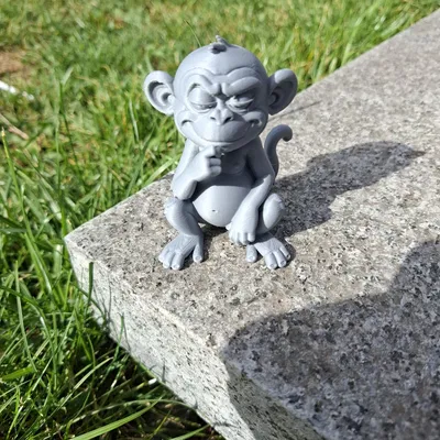 Cheeky Thinking Monkey – Khỉ Suy Tư Tinh Nghịch