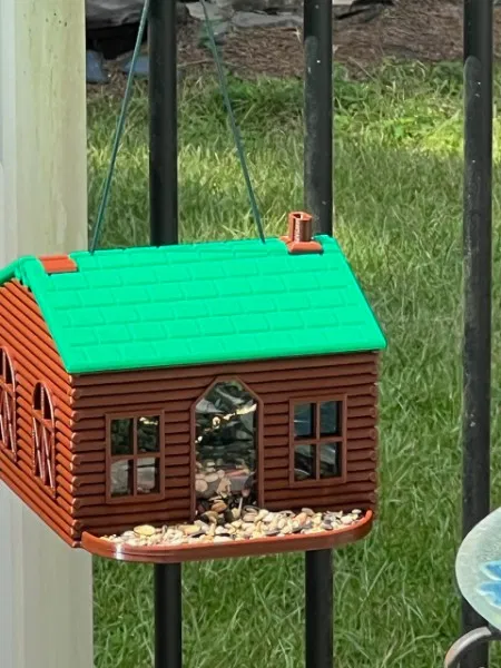 Máng ăn chim nhà gỗ Log Cabin Birder, in không cần support - Image 4