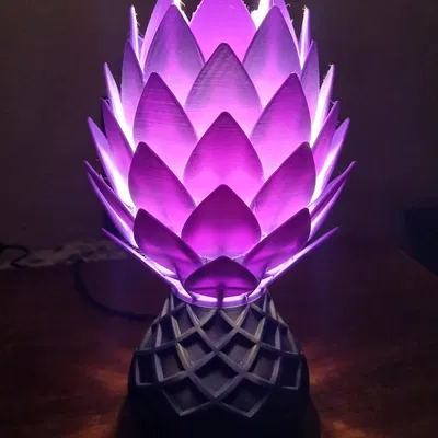 Đèn trang trí hình hoa (Lamp with floral shape)