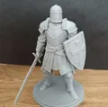 Hiệp Sĩ Dòng Đền (Knight Templar) - Thumbnail 2