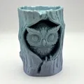 Tượng Cú Trong Khúc Gỗ (Owl in Log Figure) - Thumbnail 1