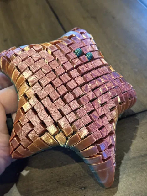 Starfish Remix - Image 1