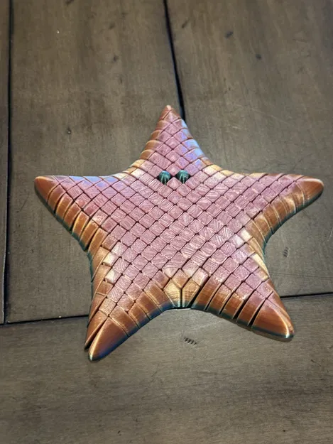 Starfish Remix - Image 2