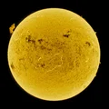 Sunshine 101 Spectroheliograph (SHG) - Thumbnail 5