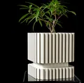 Chậu trồng cây Stripes của MODERN MACHINE - Thumbnail 2