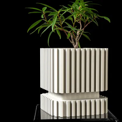 Chậu trồng cây Stripes của MODERN MACHINE