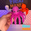 Flexi Octopus | Bạch tuộc khớp nối Print-in-Place – Không cần supports - Thumbnail 1