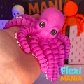 Flexi Octopus | Bạch tuộc khớp nối Print-in-Place – Không cần supports - Thumbnail 3