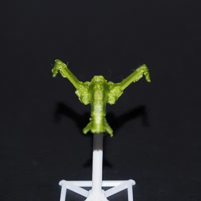 Star Wars Hype Fazon's Racer – mẫu racer cánh gập print-in-place