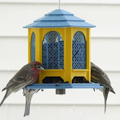 Máng ăn chim dạng Gazebo (Gazebo Bird Feeder)