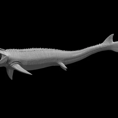 Mosasaur