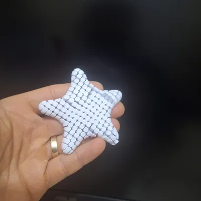 Sao Biển Articulated – Print in Place