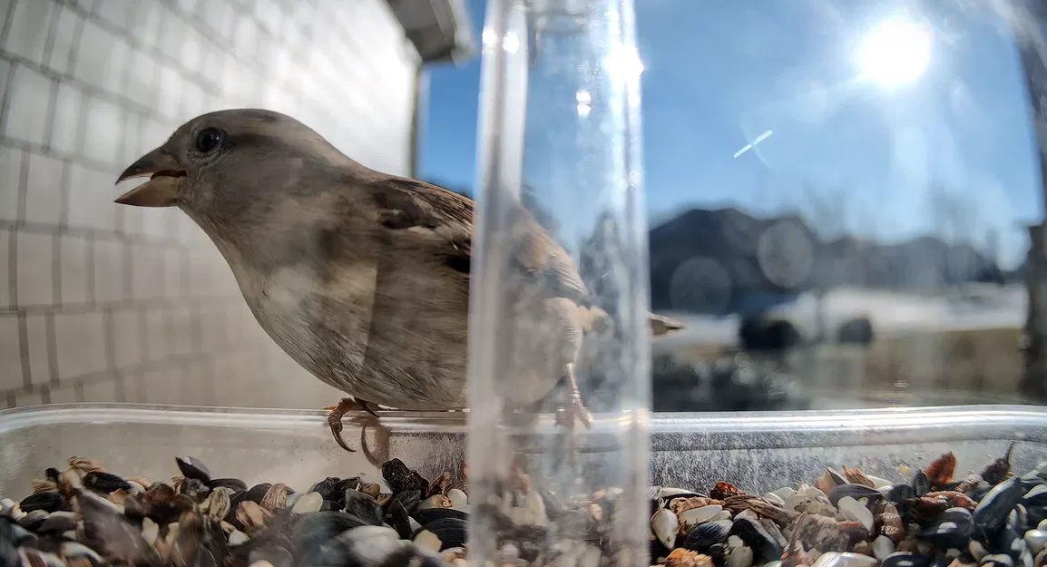 UniFi Protect Camera G6 Instant - Window Stand (Đế gắn sát kính cửa sổ) - Image 2