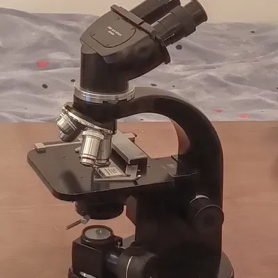 Leitz SM Lamp/LED Mount – Giá đỡ bóng E10 & mount nâng cấp LED