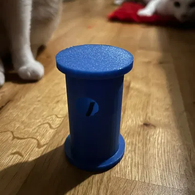 Đồ chơi mèo cho cơ thể & trí não