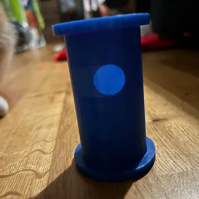 Đồ chơi mèo cho cơ thể & trí não