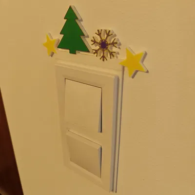 Trang trí công tắc đèn Schneider ASFORA 2Fach AMS