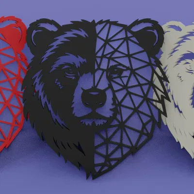 Gấu và Nghệ thuật (Bear and Art)