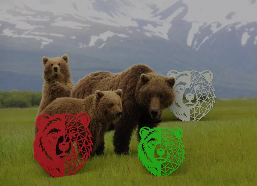 Gấu và Nghệ thuật (Bear and Art) - Image 2