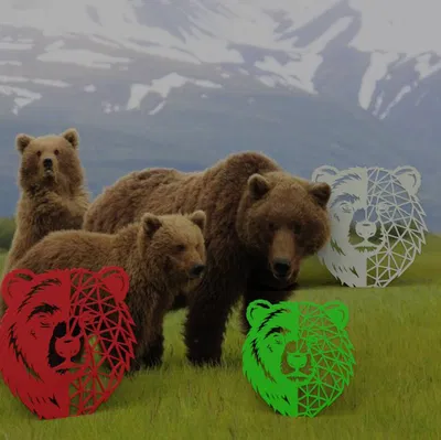 Gấu và Nghệ thuật (Bear and Art)