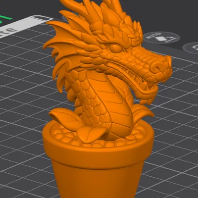 Chậu hoa rồng (A dragon flower in a pot)