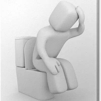 cesso, e chi lo rubò