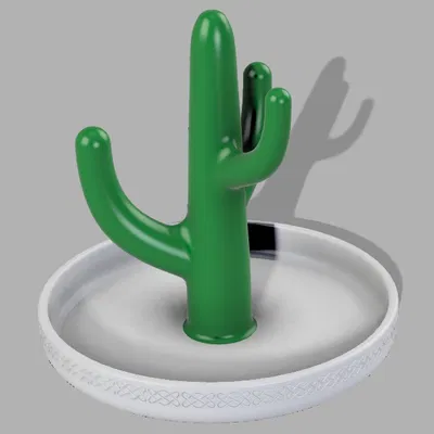 Khay Trang Sức Hình Xương Rồng (Cactus Jewlery Dish)