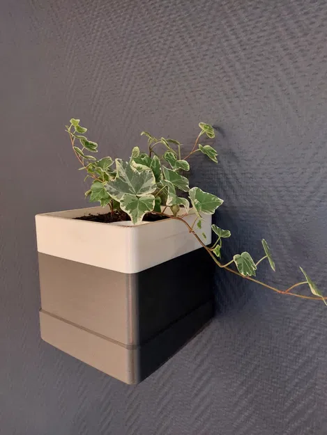 Chậu hoa treo tường (hoặc không) / Pot de Fleur mural (ou pas) - Image 1