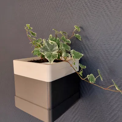 Chậu hoa treo tường (hoặc không) / Pot de Fleur mural (ou pas)