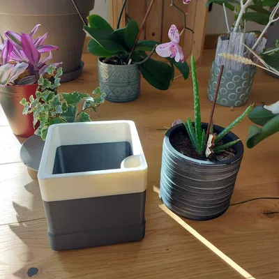 Chậu hoa treo tường (hoặc không) / Pot de Fleur mural (ou pas)